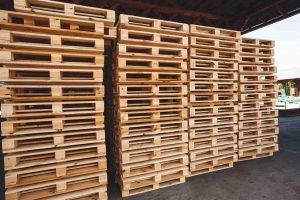Paletten- & Verpackungsholz für die Industrie